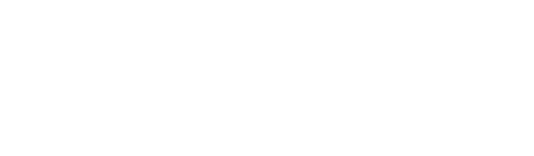 Floowmer Logo
